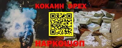 крисы Кулебаки