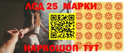 крисы Кулебаки