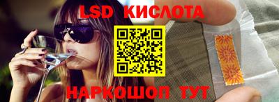 крисы Кулебаки