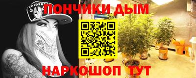 крисы Кулебаки